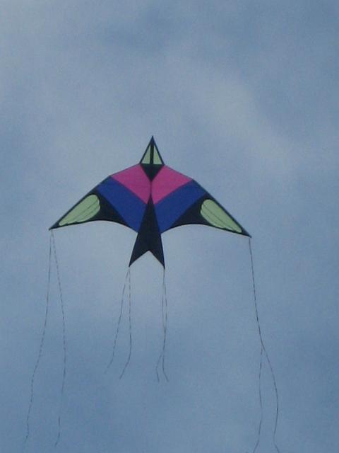 IMG_1841.JPG