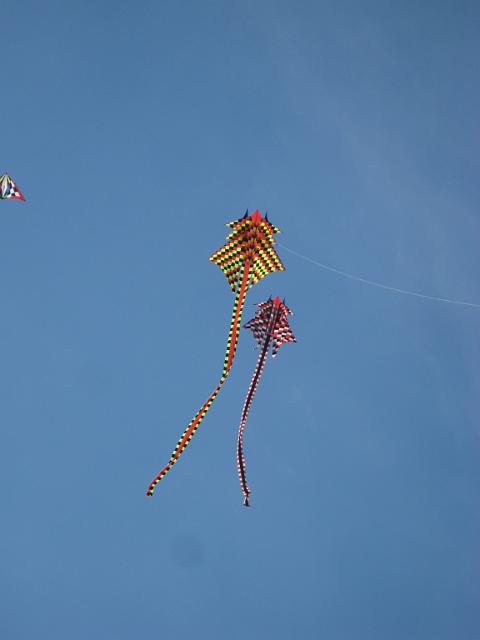 IMG_1876.JPG