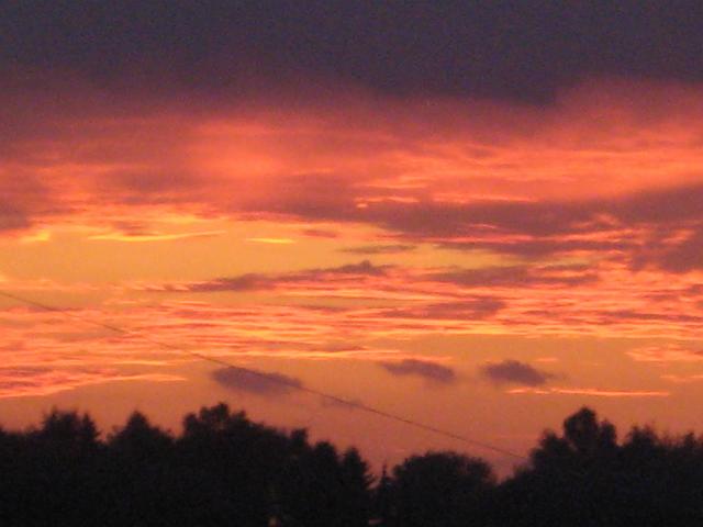 IMG_1902.JPG
