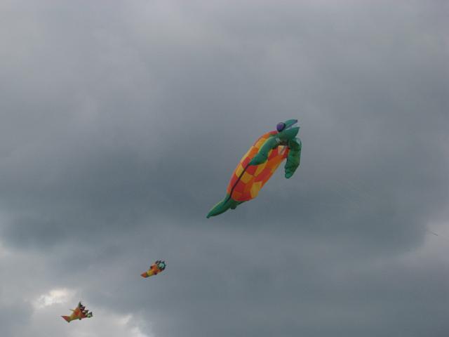 IMG_1640.JPG