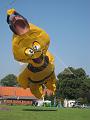 IMG_1725