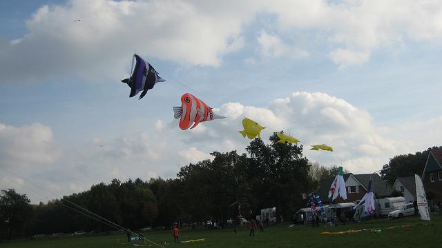 IMG_0100.JPG